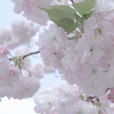 Furry圈创作干货FurryQQ群